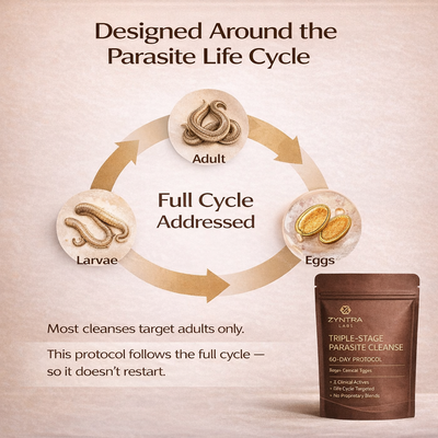 Walnut Cloves — Triple-Stage Parasite Cleanse