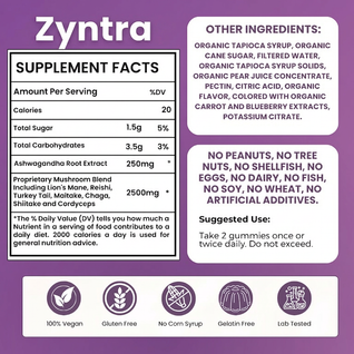 Functional Mushroom Gummies