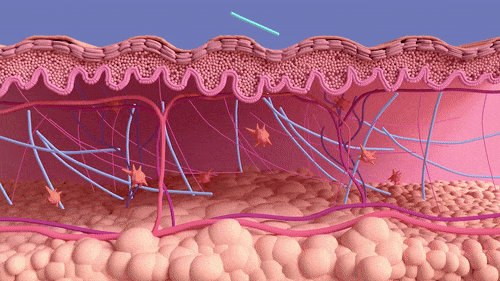 SculptPro Facial Lift Sculpting Device