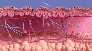 SculptPro® — Facial Sculpting Device